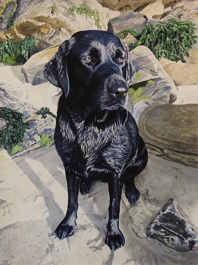 Labrador Painting - Dileas by Julian Wheat