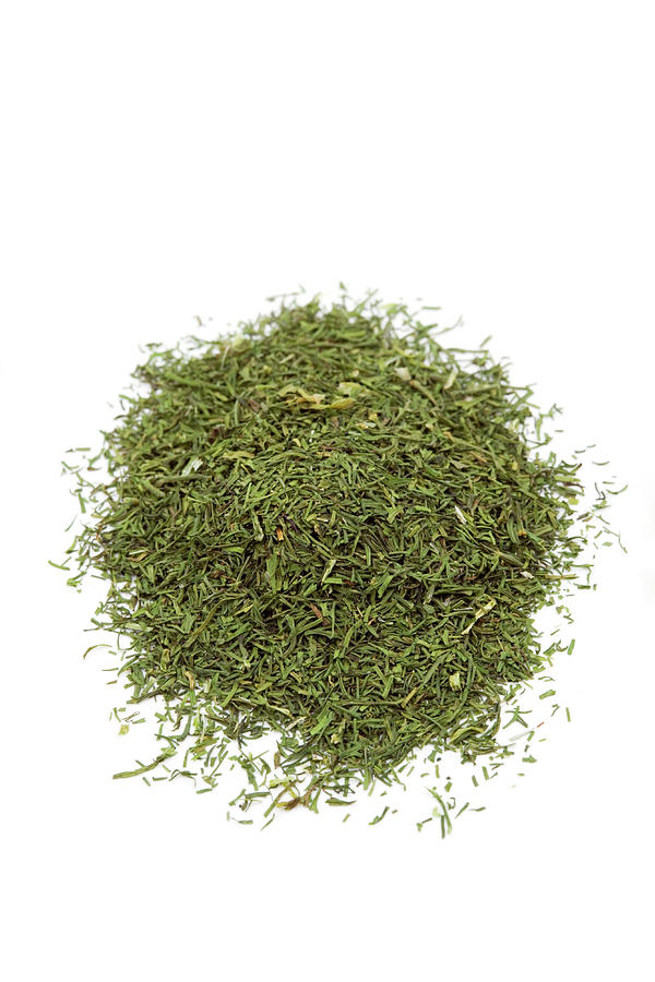 Dill Weed Photograph by Science Photo Library Dill Weed Photograph by Science Photo Library
