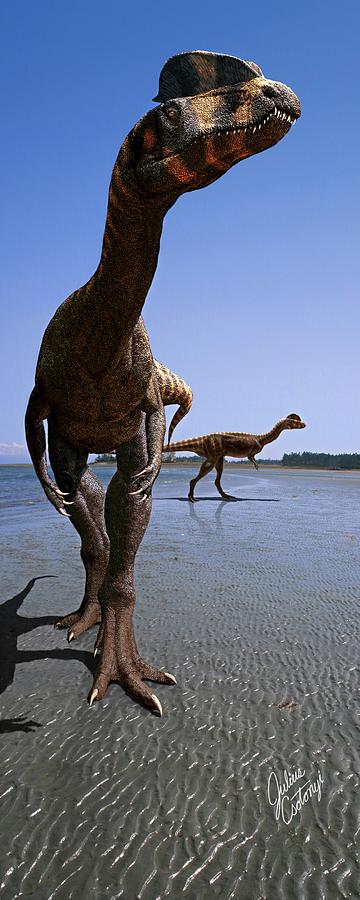 Dilophosaurus Wetherilii Dinosaurs Photograph by Julius T Csotonyi/science Photo Library