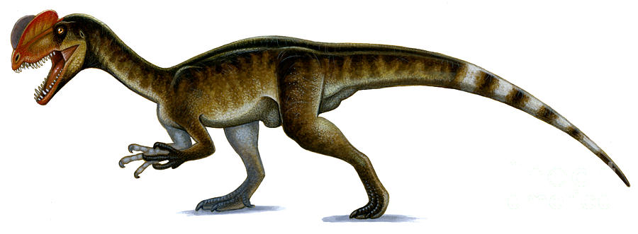 Wildlife Digital Art - Dilophosaurus Wetherilli by H. Kyoht Luterman