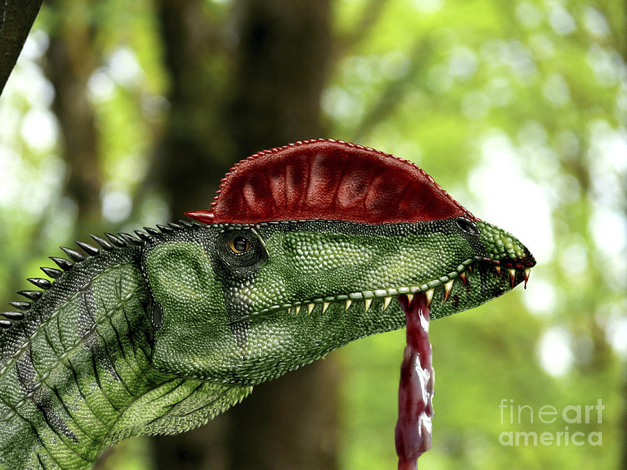 Wildlife Digital Art - Dilophosaurus Wetherilli With A Piece by Yuriy Priymak