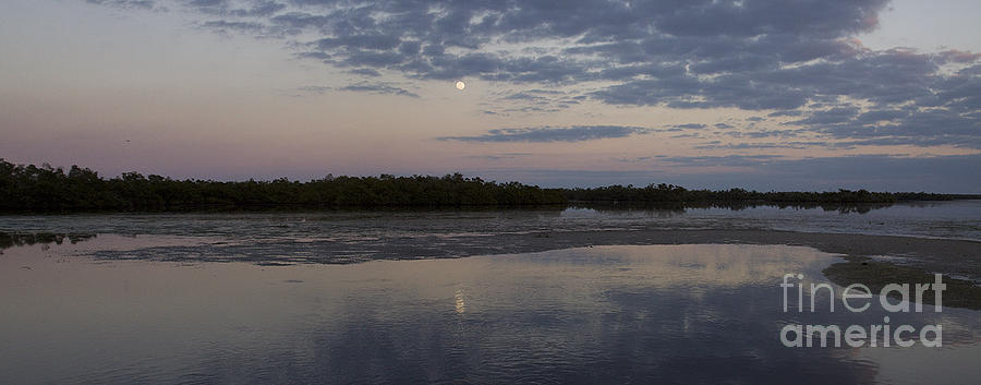 Ding Darling And Moon - 16x42 Photograph by J L Woody Wooden
