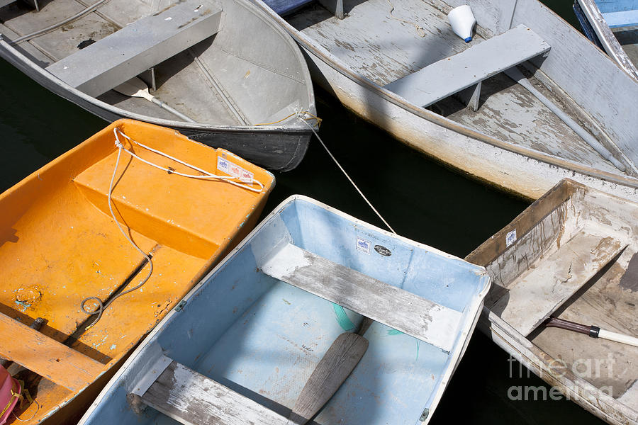 Dinghies Photograph by Bryan Keil