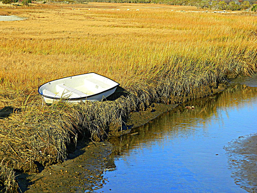 Squibnocket Dinghy, Duck, Stream Photograph by Kathy Barney