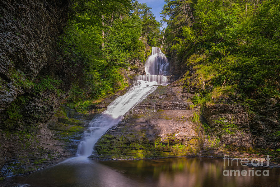 Tree Photograph - Dingmans Falls Pennsylvania  by Michael Ver Sprill