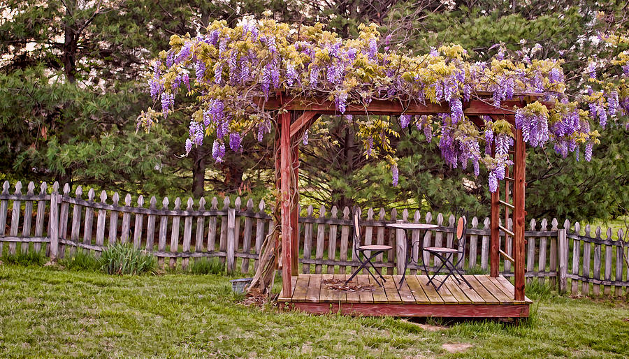 Dining for Two Under Wisteria 2 Photograph by Greg Jackson