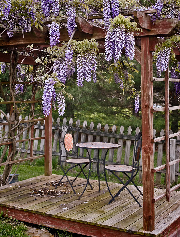Dining for Two Under Wisteria Photograph by Greg Jackson