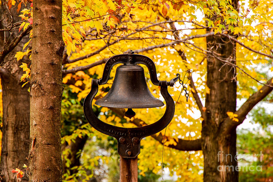 Dinner Bell Photograph by Mary Carol Story