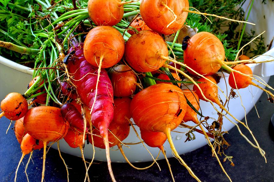 Dinner Carrots Photograph by Scott Carlton