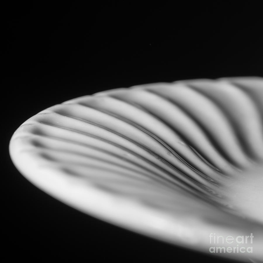 Dinner Plate Black and White Photograph by Art Whitton