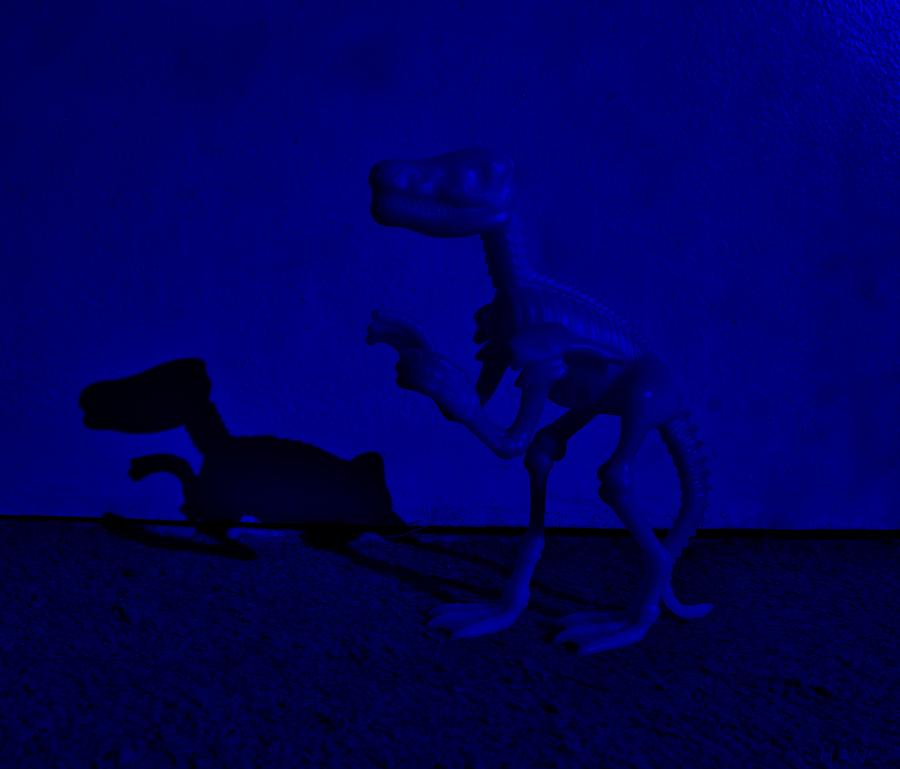 Dino Dark Blue Photograph by Rob Hans - Fine Art America