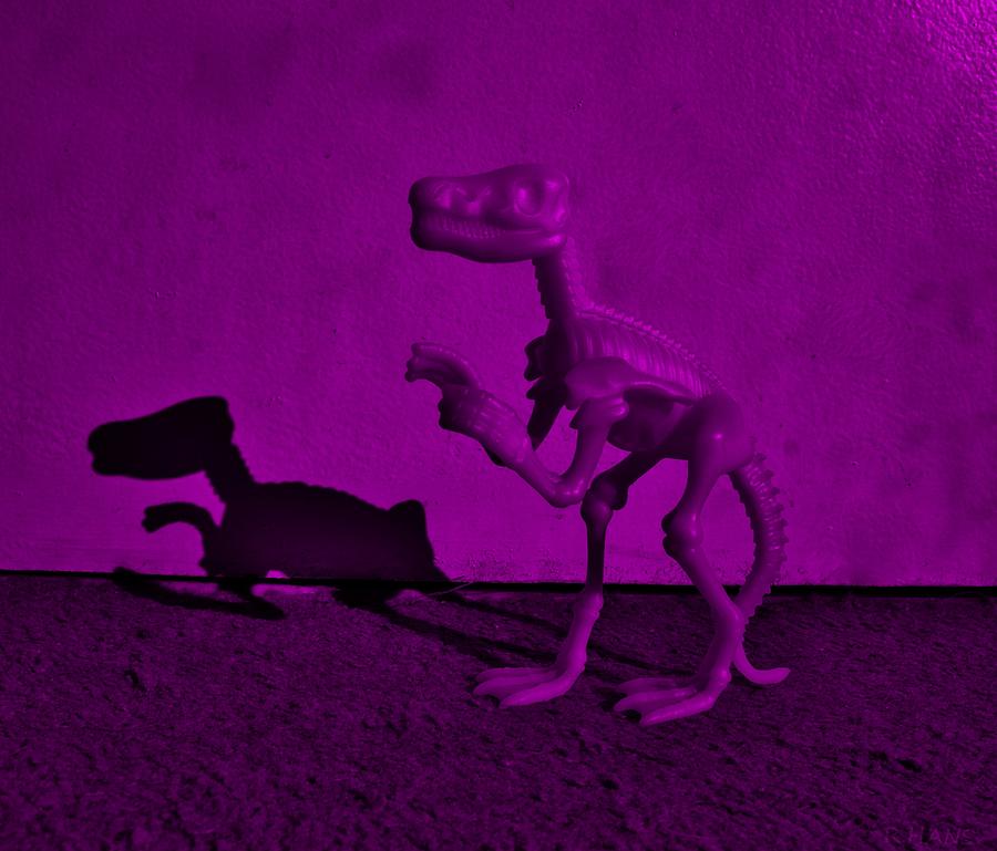 Dino Dark Purple... Barney Photograph