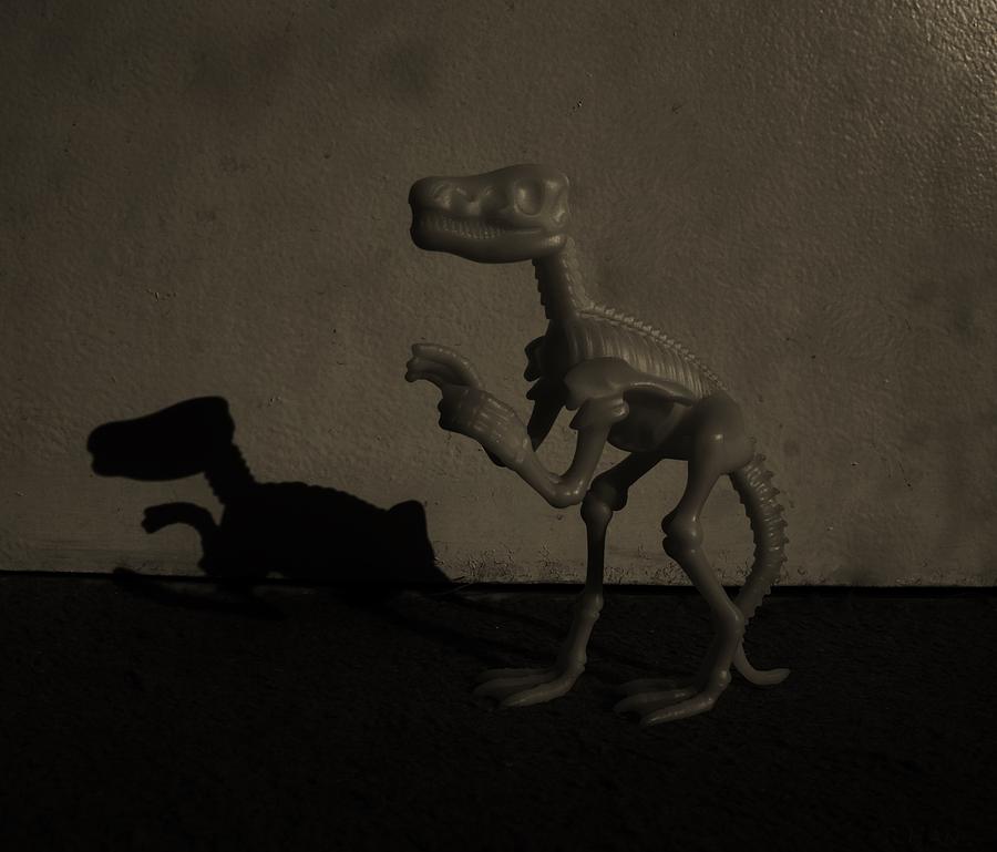 Prehistoric Photograph - Dino Monochrome by Rob Hans