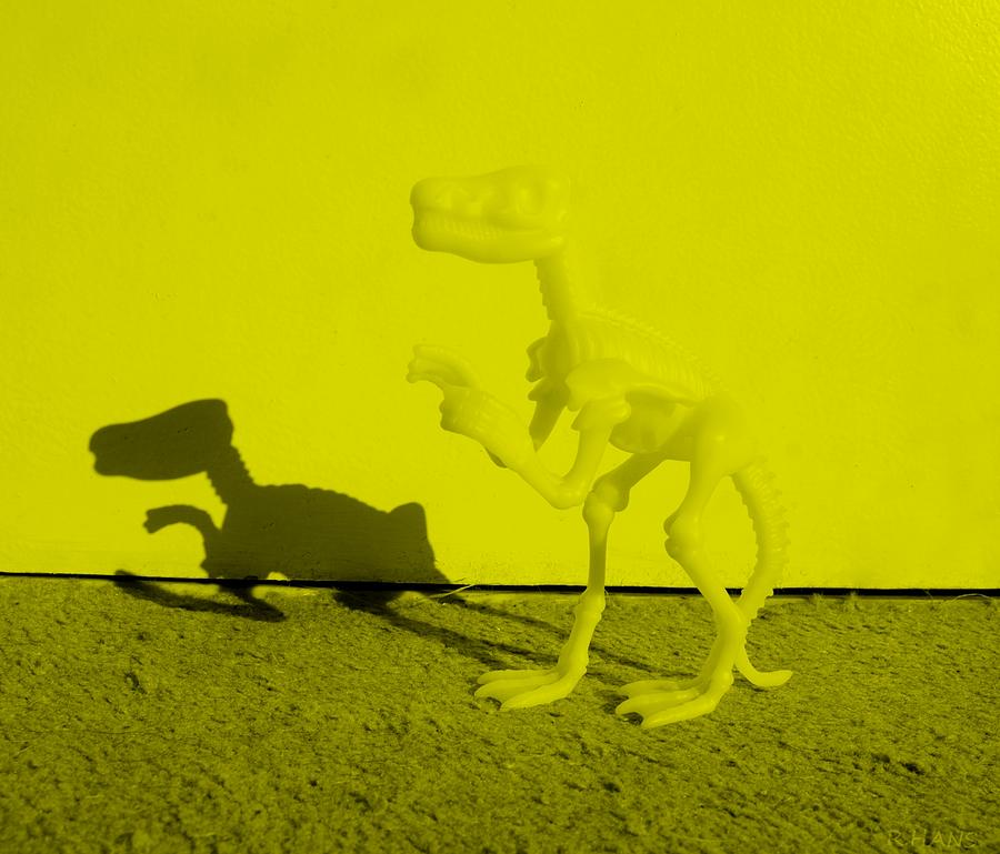 Prehistoric Photograph - Dino Yellow by Rob Hans