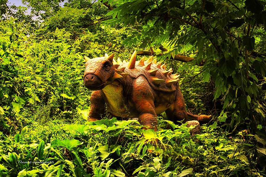 Dinos At The Zoo Baby Spike Photograph by Thomas Woolworth