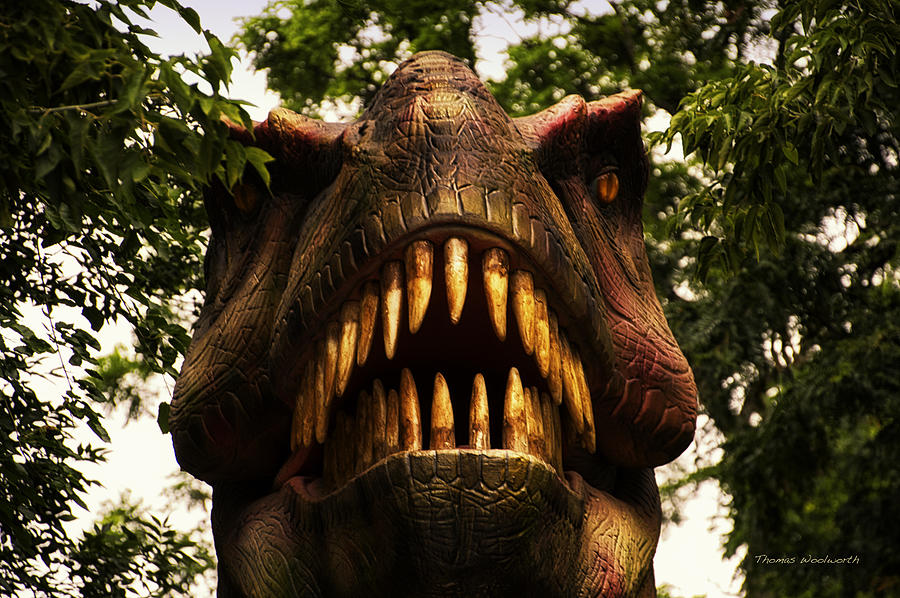 Dinos At The Zoo Man Eater Photograph by Thomas Woolworth