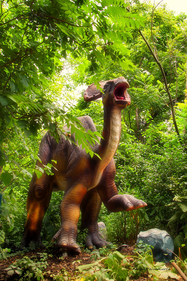 Dinos At The Zoo Rumbling Along Photograph by Thomas Woolworth