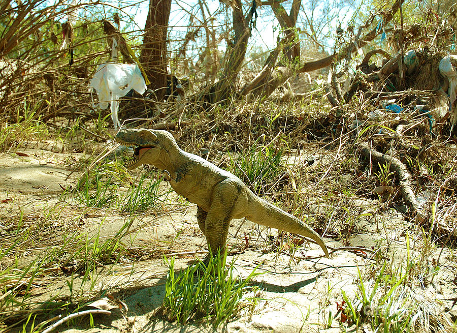Dinosaur at the dump Photograph by Micah May