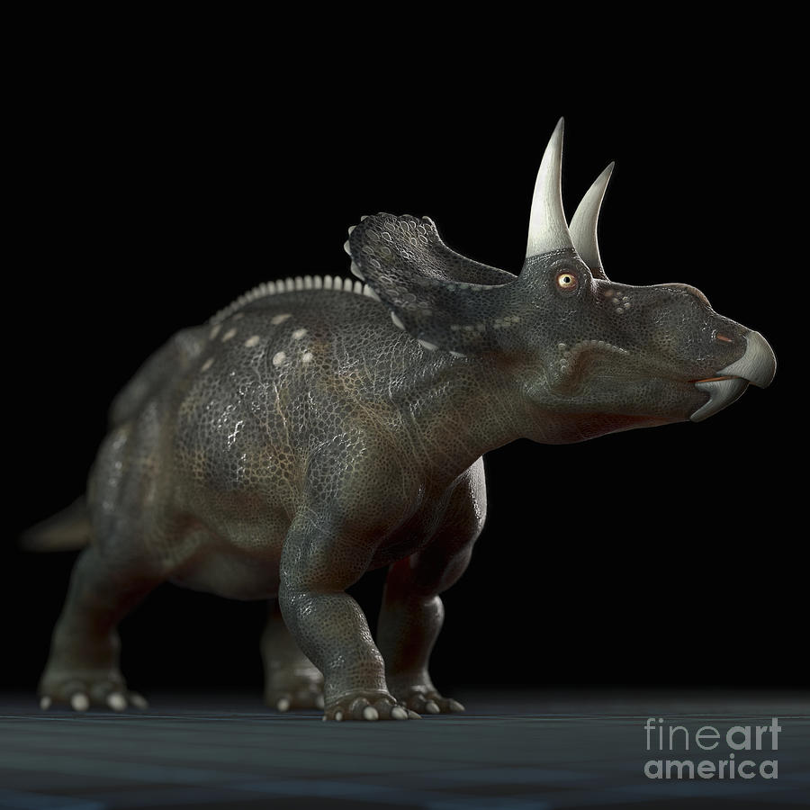 Dinosaur Diceratops Photograph by Science Picture Co