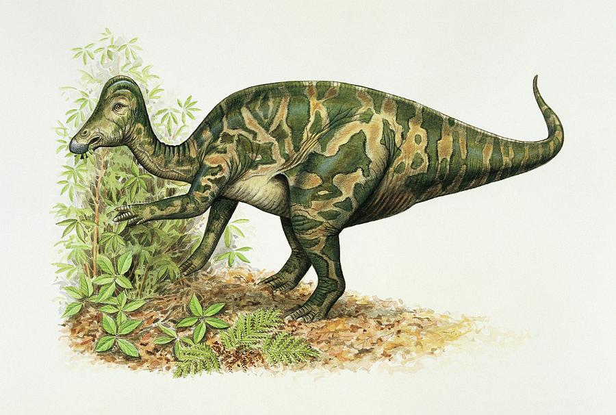 which dinosaur eats plants