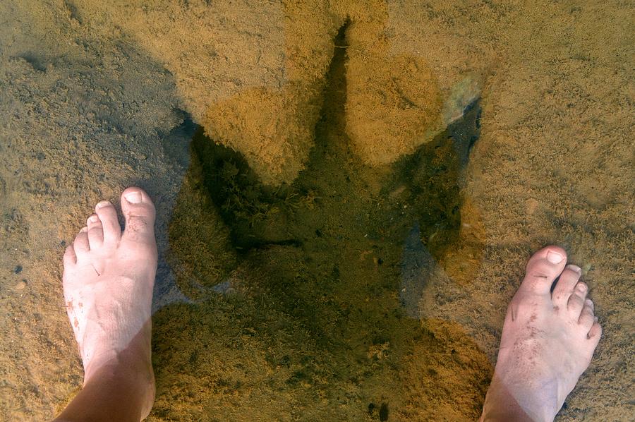 human footprint dinosaur print