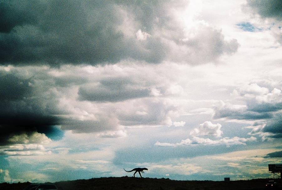 Dinosaur on the Western Horizon Photograph by Belinda Lee