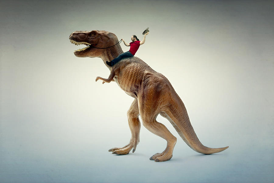 Dinosaur rider Photograph by Scott MacBride