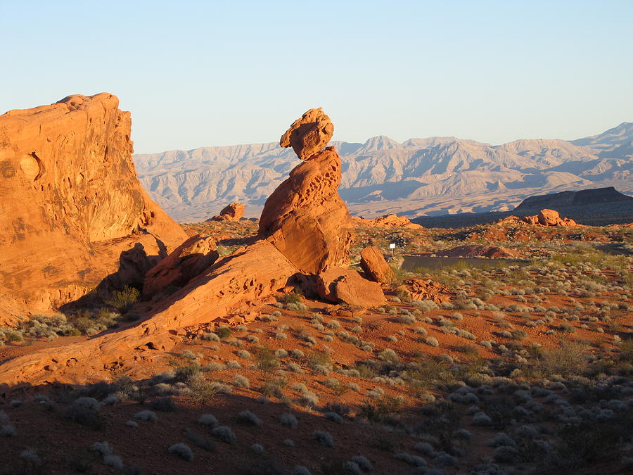 dinosaur on rock