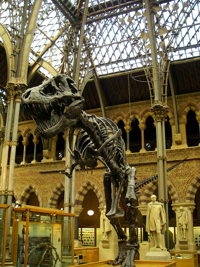 oxford natural history museum dinosaur