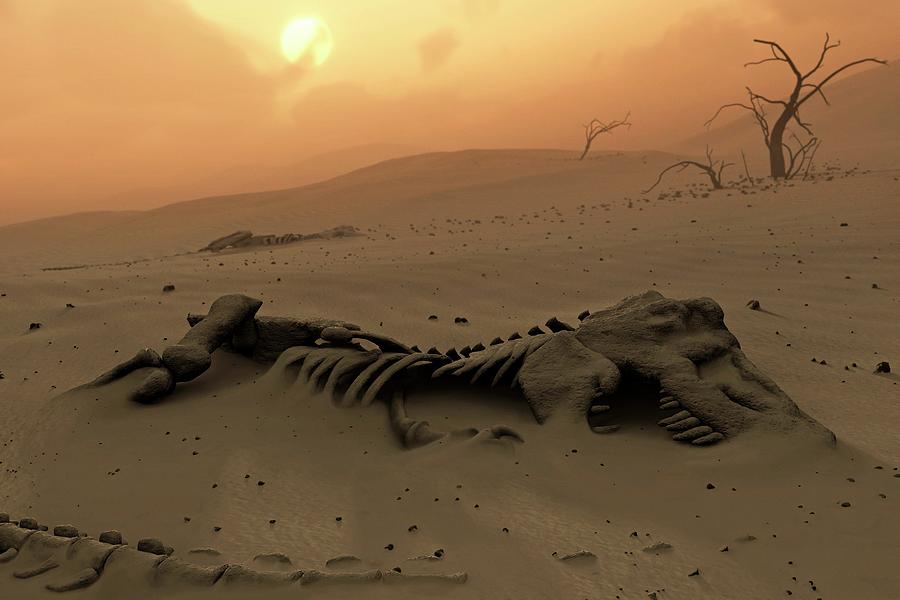 Dinosaur Skeletons In The Desert Photograph by Mark Garlick/science Photo Library