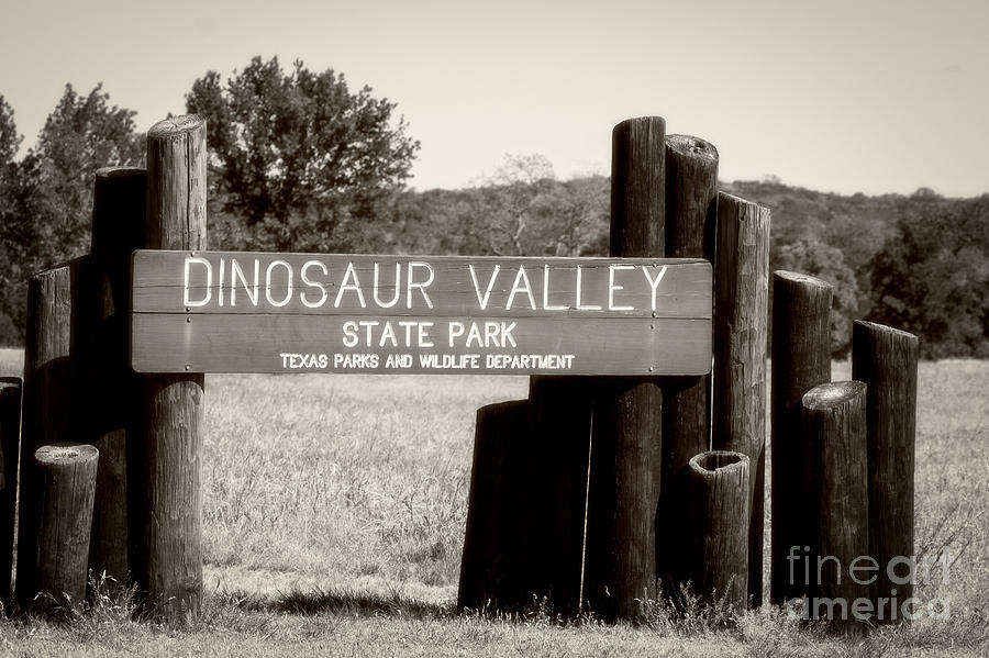 Dinosaur Valley State Park Texas Photograph by Imagery by Charly