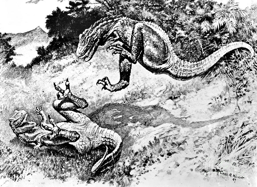 fossil of dinosaurs fighting