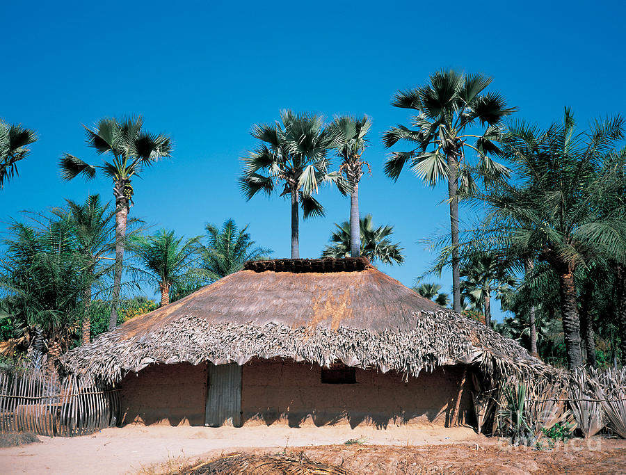 Senegal Photograph - Diolla Hut, Senegal by Adam Sylvester
