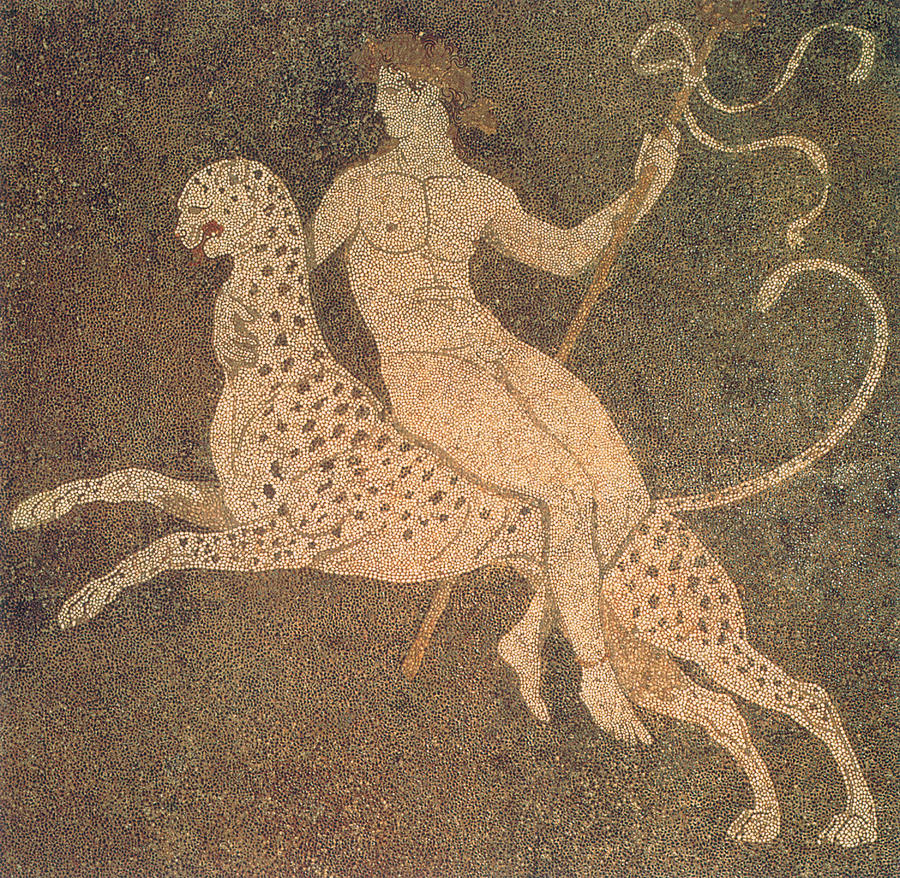 Dionysos Mosaic, 4th Century Bc Photograph by Science Source