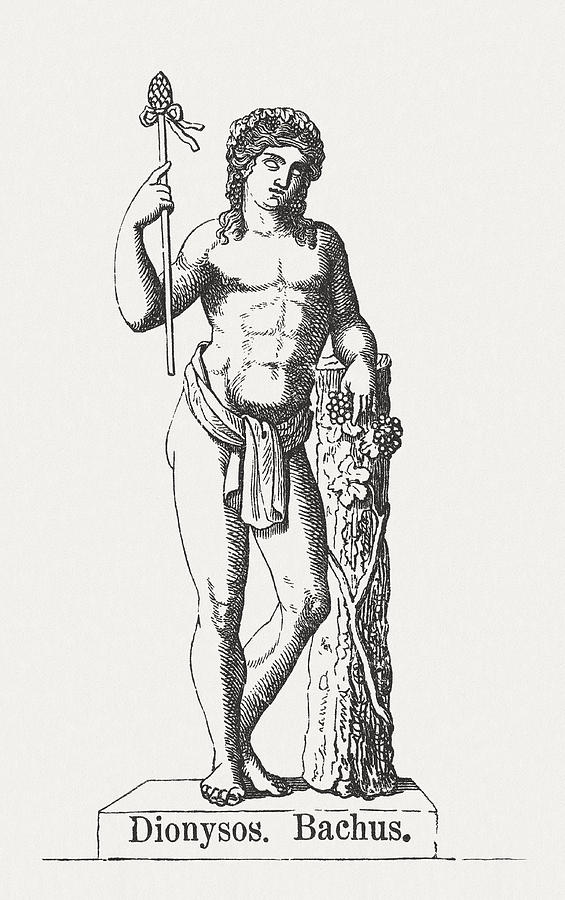 Dionysus, Greek god of harvest, wood engraving, puplished in 1878 Drawing by Zu_09