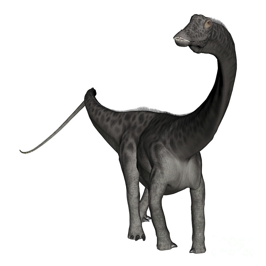 diplodocus dino