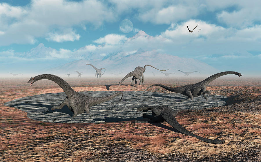 Diplodocus Dinosaurs Caught In A Deadly Photograph by Mark Stevenson ...