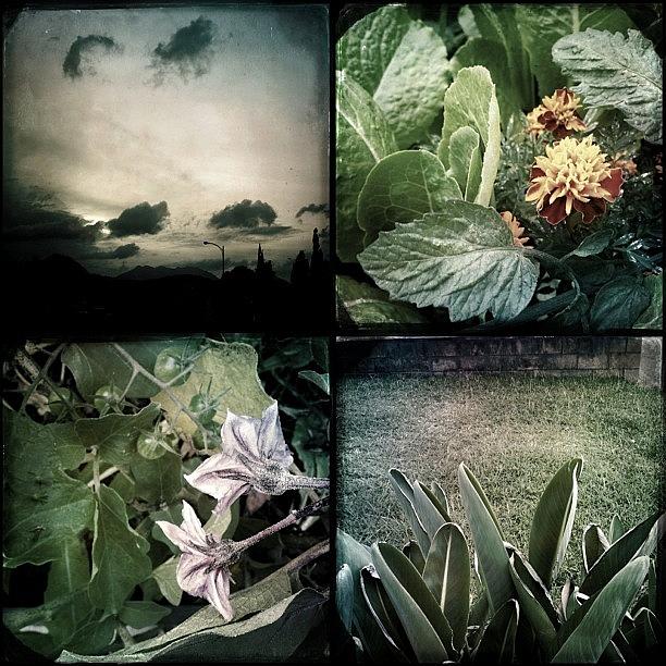 Hipstamatic Photograph - #diptic #hipstamatic by G C