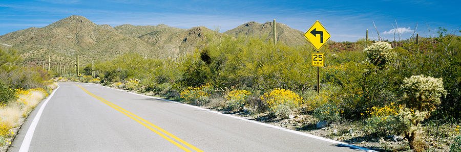 Tucson Photograph - Directional Signboard At The Roadside by Panoramic Images