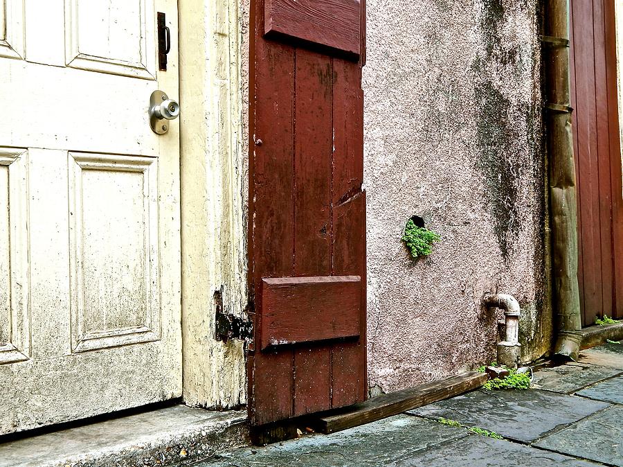 New Orleans Photograph - Dirt by Gretchen  Smith