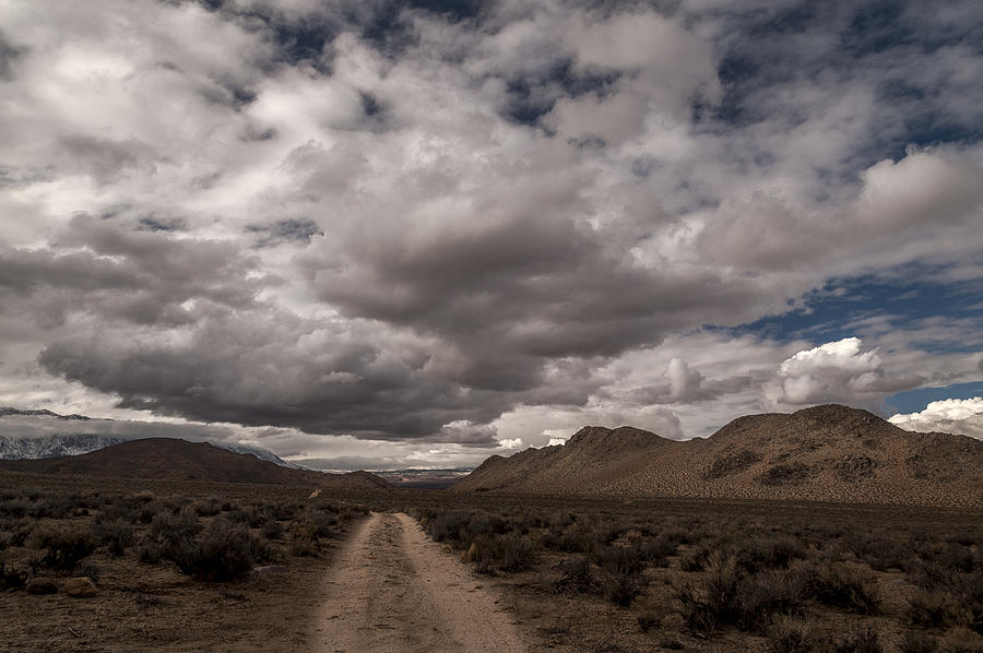 Dirt Road and Clouds Photograph by Cat Connor