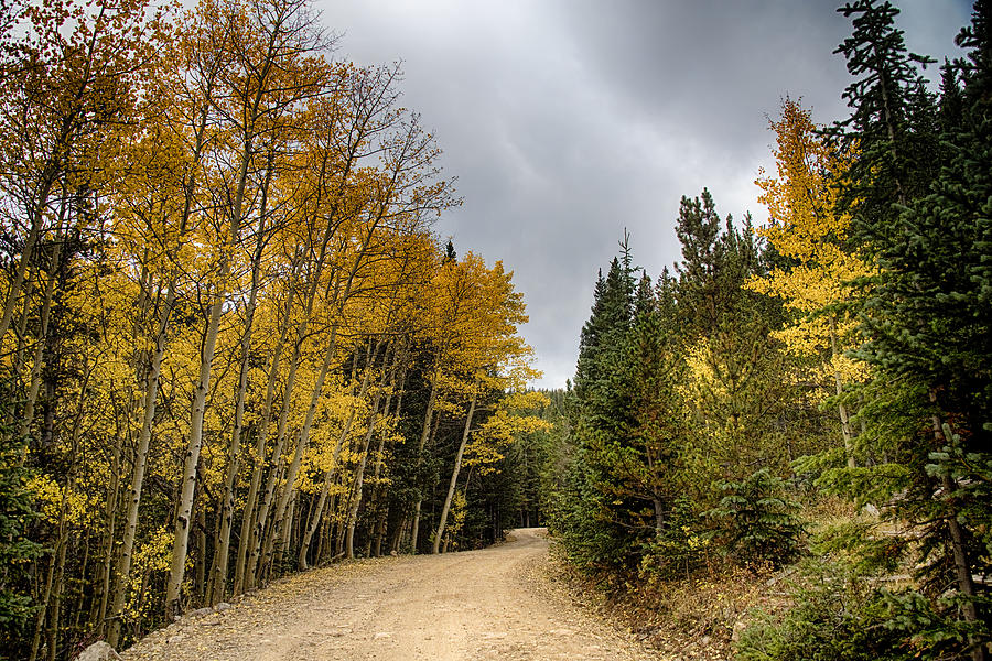Dirt Road Autumn Cruising Photograph by James BO Insogna