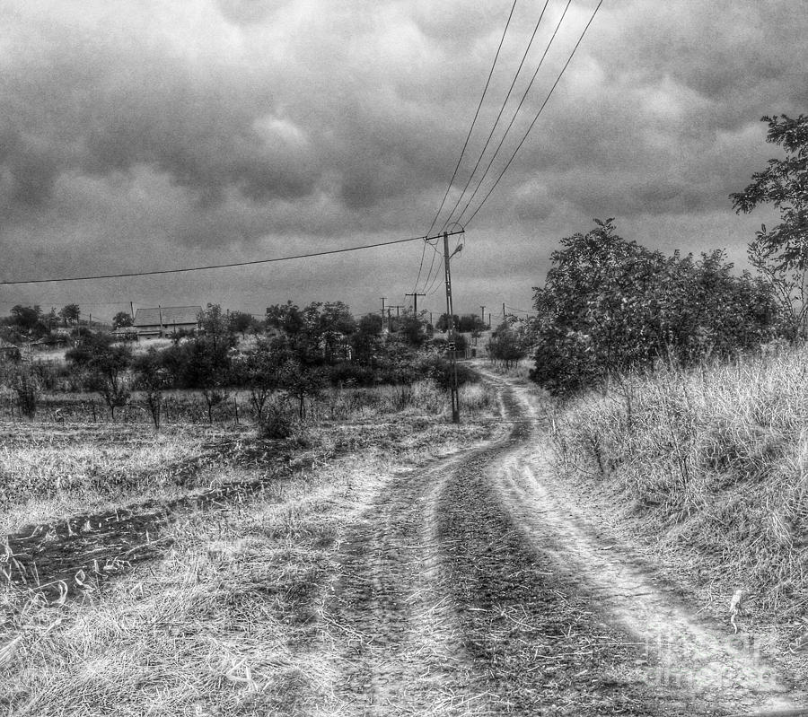 Dirt road Photograph by Gabriela Insuratelu - Fine Art America