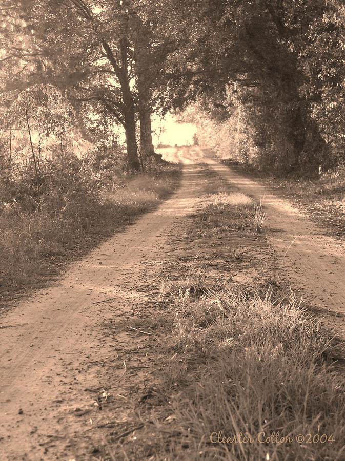Dirt Road Moultrie Georgia Photograph by Cleaster Cotton