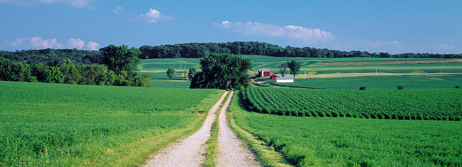 Dirt Road Passing Through A Farm Photograph by Panoramic Images