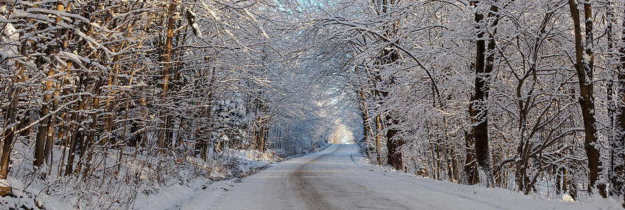 Dirt Road Passing Through Snow Covered Photograph by Panoramic Images ...