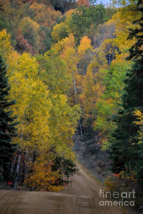 Dirt Road to Autumn Photograph by Henry Kowalski