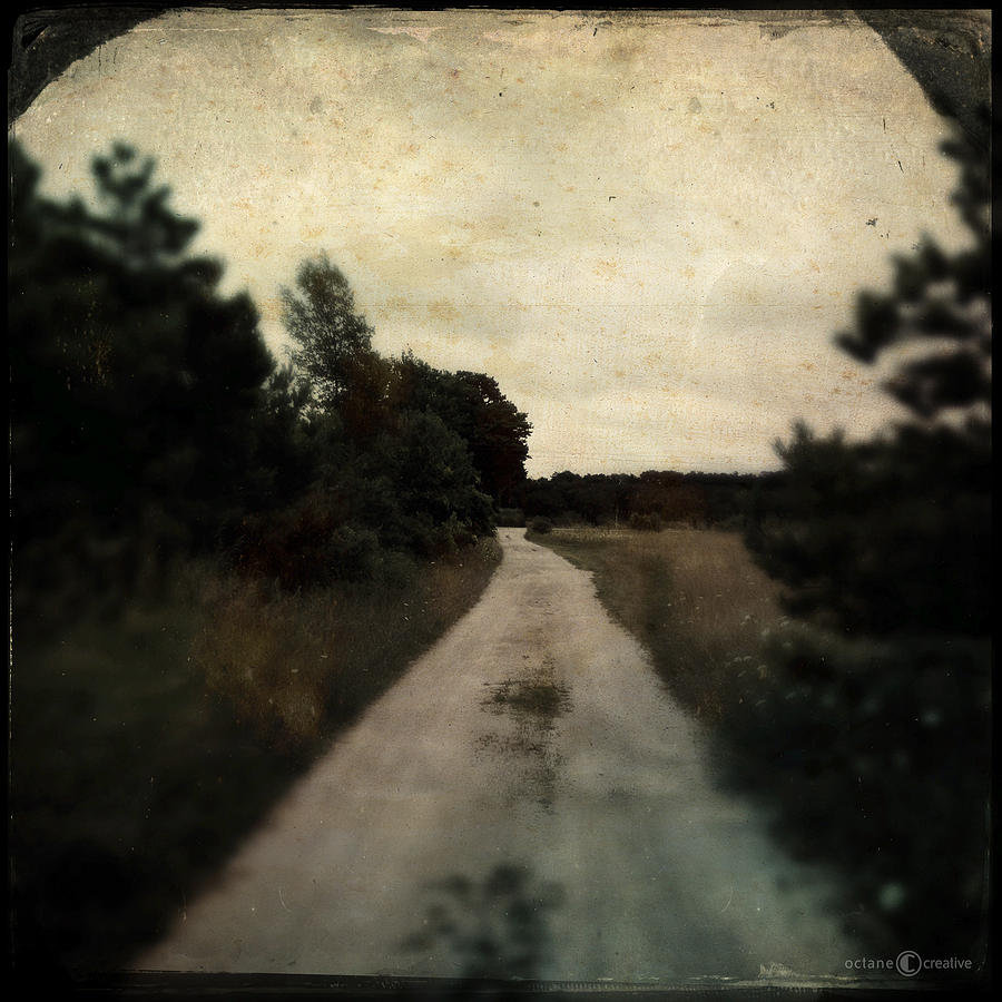 Dirt Road To Orchard Photograph by Tim Nyberg