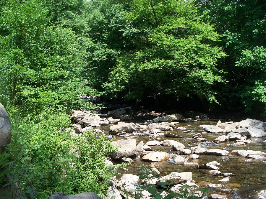 Disappearing Stream Photograph By Rosanne Bartlett - Fine Art America