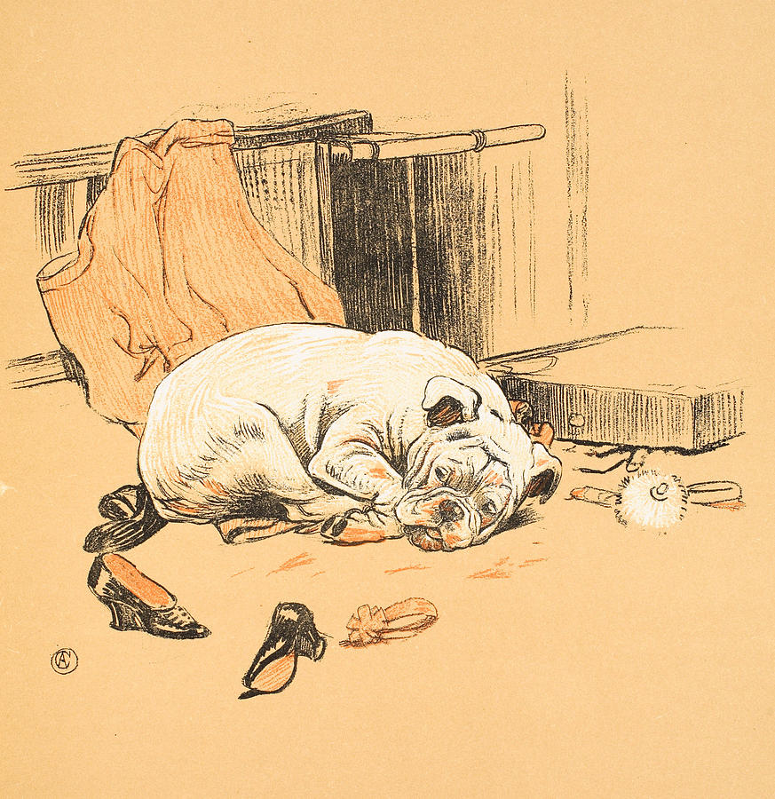 Dog Painting - Disappointment at not finding the Chocolates by Cecil Charles Windsor Aldin